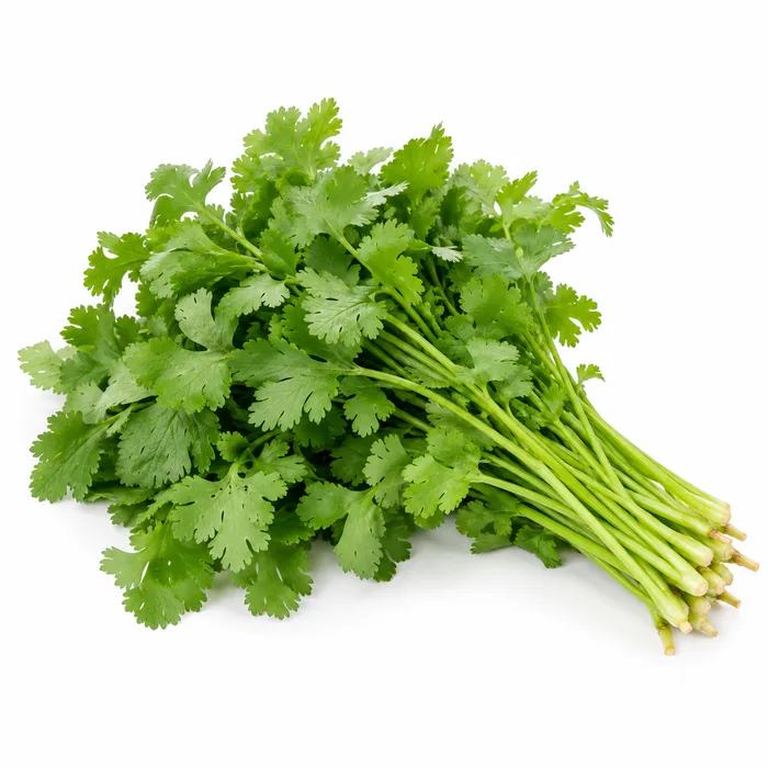 Fresh Coriander — illustrative photo, packaging may differ