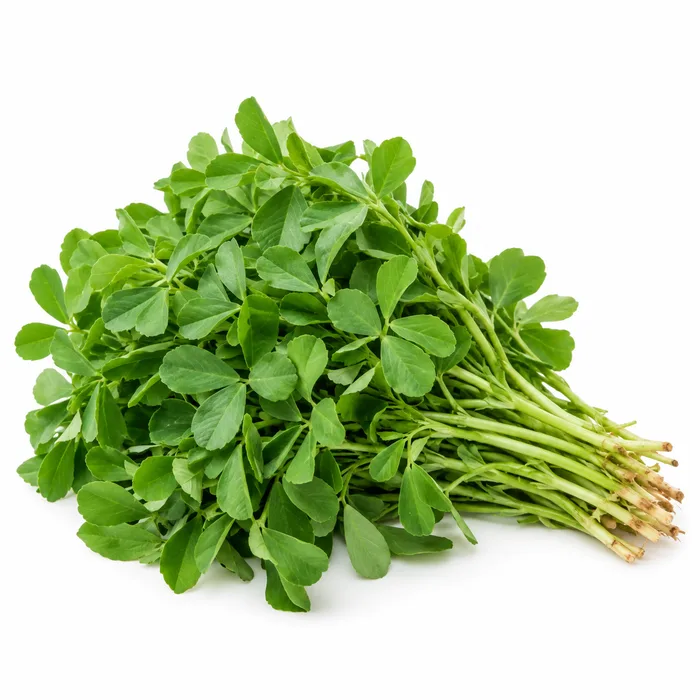 Fresh Methi (Fenugreek) — illustrative photo, packaging may differ