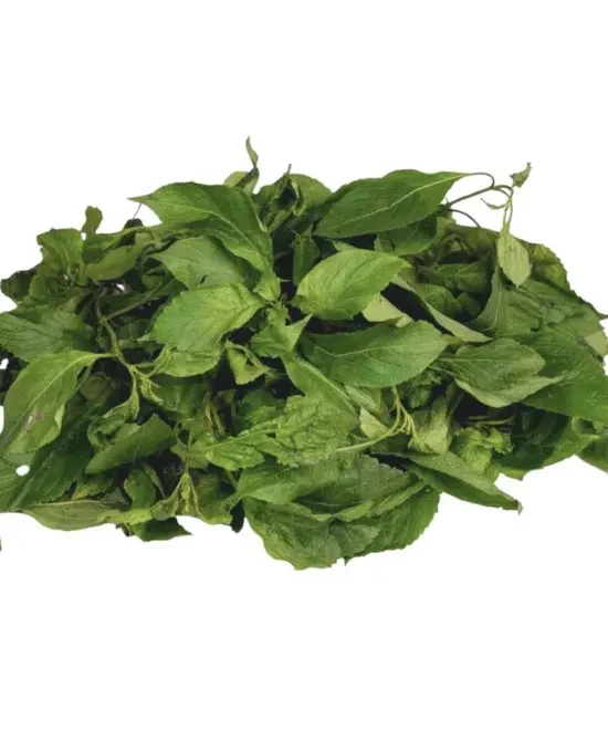 Fresh Scent Leaf