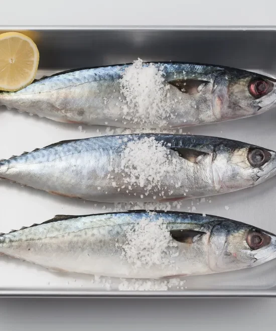 Mackerel 17kg