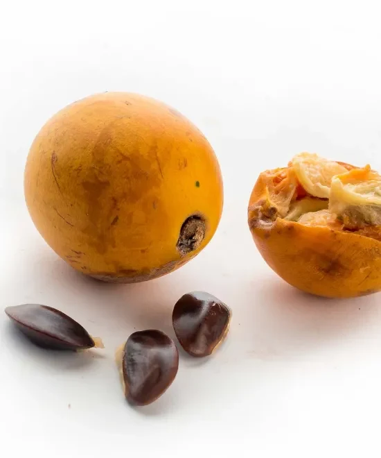 Agbalumo Udara / African Cherry – Ajashe Cotonou
