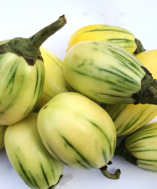Garden Egg/Egg Plant 500g