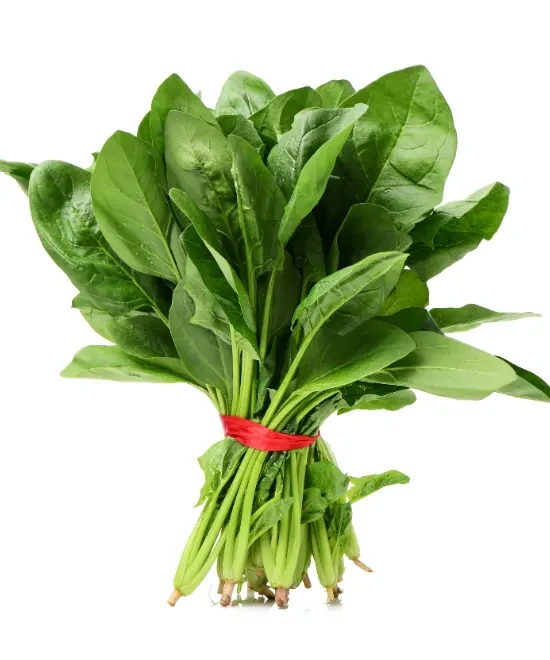 Fresh Spinach